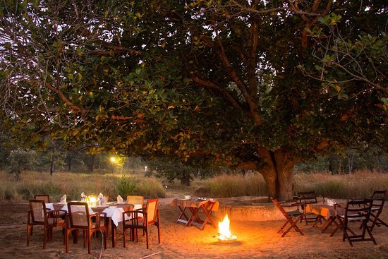 Dinner Under the Stars